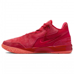 Nike Zoom LeBron NXXT Gen AMPD EP James Gang Meeste Tossud Punane University-Red Bright-Crimson FJ1567-600 41