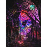 Teemantmaal T&auml;ispuurimine Alati vaatab ise Teemanttikandid Teemantmaal Teemantkunsti sein 20X30CM