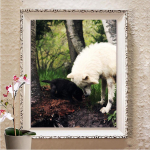 Rhinestones tikandid 5D teemantmaaling DIY teemanttikandid kingitus teemant seinakunsti kaunistus Full Round 20X30CM