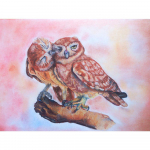 Teemantmaaling &Ouml;&ouml;kulli ristpistes Teemantmosaiik Loomapilt kividest tikandid Tikand t&auml;is tilli ruut Kodukaunistus Full Round 20X30CM punane