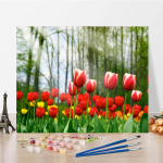 DIY maalimine numbrite numbrite j&auml;rgi &Otilde;limaal Digitaalne &otilde;limaal L&otilde;uend Kodukaunistus K&auml;sitsi maalitud 40x50cm no frame