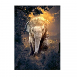 Lind Loomade Teemanttikandid Mosaiik T&auml;ielik disain Pilt 5D Teemantmaal Maastiku Ristpistes Kodukaunistus Full Round 20x30CM