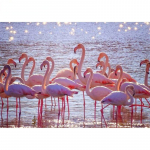 T&auml;ispuur Teemantmaal Flamingo Loomapilt Rhinestonest Ise ise 5D Teemanttikandid Ristpistes Kodukaunistus Full Round 20x30CM