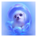 DIY 3D teemantmaaling kutsika tikandid Ristk&auml;sit&ouml;&ouml; Stitch Kodukaunistus Full Round 20x20CM