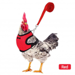 Hingavast v&otilde;rkkangast pardivest jalutusrihmad kodulindude kana lemmikloomade rakmed koos sobiva koolitusega pardi-hane-kana kuke jalutamiseks M