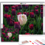 Teemantmaaling Lilled Tulbid Tikand Ristpistes Rhinestone kodukaunistus Full Round 20X30CM