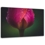 Feeby l&otilde;uenditr&uuml;kk, pungad ja kaste 60x40 roosa