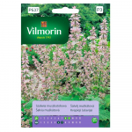 Seljasalvei 1g - VILMORIN