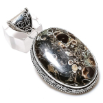Natural Turtilla Fossil Gemstone Handmade 925 Sterling Silver Pendant 2.29 g9c28