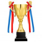 Metallist kuldne trofee, kuldne trofeekarikas, k&otilde;rgus 23 cm, korvpalli-, jalgpalli-, m&auml;ngu- ja meistriv&otilde;istluste trofee kuld