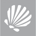 Pochoir 8 x 8 cm Coquillage - Graine cr&eacute;ative {couleur}