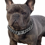 18K kuldne koera kaelarihm roostevabast terasest kuuba l&uuml;likett 14 mm lai metallist lemmiklooma kaelakee v&auml;ikese ja keskmise suure koera kaelarihma tootele 10inch(25cm)
