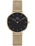 Naiste kell Daniel Wellington Dw00100349 - Petite Evergold 28 mm (Zw501C) black