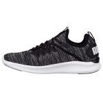 PUMA Ignite Flash Evoknit Madalad Jooksukingad Must/Hall Naiste 190511-01 35.5