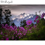 5D isetegemise teemantmaal  loodus kevad  3D tikandiga ristpistes mosaiikpilt kividekoorist 20X30CM