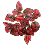 Vastupidav kunsttaim Ereda v&auml;rviga &Otilde;rn V&otilde;luv 9