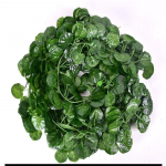 12 tk/komplekt Luuderohelised v&otilde;ltslehed Garland Taim Viinapuu Lehestik Kodukaunistus Plastist rotangist n&ouml;&ouml;rid Seinakaunistus Kunsttaimed