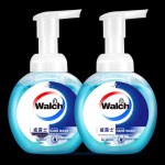 Walch Health Care Foaming Hand Soap (2 x 300ml)