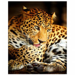 T&auml;ielik 5D Teemantmaaling Leopard Tikand Ristpistes Kodukaunistus K&auml;sitsi valmistatud kingitus 20X25CM