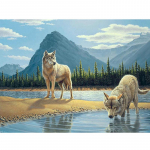 Full Drill Teemantmaaling 5D Loomtikandid Ristpistes Hunt Kodukaunistamise kingitus 20X30CM