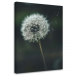 L&otilde;uenditr&uuml;kk Dandelion Plant Green 40x60 roheline