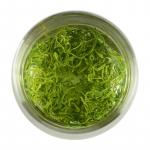 2023. aasta Hiina Yun Wu roheline tee Tervislik lahtine Maojian Mao Jian tee 250g / 8.81oz