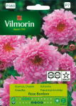 Cosmos full Rose Bonbon roosad seemned 0,5g - VILMORIN