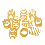 10 tk Lemmikloomad Vedrum&auml;nguasjad Kassispiraal, kassi spiraalvedru kassi aktiivne vedru XXL