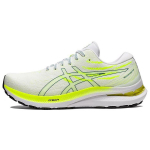 Asics Gel Kayano 29 White Velvet Pine Naiste tossud 1012B272-100 37