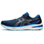 Asics GT 2000 10 Lake Drive Meeste Tennised Sinine Valge 1011B185-401 42.5