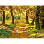 5D teemantmaal, s&uuml;gisene puu maastik Ristpistes kivist teemanttikandid 20X30CM