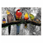 T&auml;istikandid Papagoi loomad 5D Teemantv&auml;rvimine Linnud Rhinestone tikandid 20X30CM