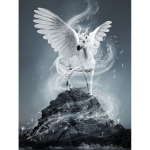 Teemant 5D DIY Teemantmaal  valge lendav hobune  Mosaiik ristpistes Kunstmuster Teemanttikandid K&auml;sit&ouml;&ouml; Kodukaunistus Full Square (20X30CM)