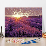 Kunstil&otilde;uend Digitaalne &otilde;limaal DIY maalimine numbrite j&auml;rgi Kodukaunistuse numbrid &Otilde;limaal 40x50cm no frame