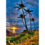 Uus 5D DIY teemantmaal, t&auml;isringi puur, maastik Ristpistes merevaatega Teemanttikandid K&auml;sit&ouml;&ouml; Kodukaunistused Kunstkingitus Full Round 15x20CM