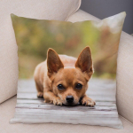 Armas lemmikloomade padjap&uuml;&uuml;r Dekoratiivne armas kutsika chihuahua padjap&uuml;&uuml;r Pehme pl&uuml;&uuml;sist padjap&uuml;&uuml;r autodiivanile koju 45x45cm 45x45cm