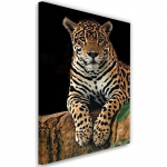 L&otilde;uendiprint Leopard Animals Nature 40x60 pruun