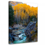 L&otilde;uenditr&uuml;kk Stream Forest Nature Yellow 40x60 kollane