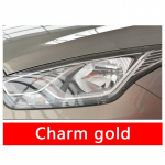 Autohoolduse veekindel autov&auml;rvi parandamise v&auml;rvipliiats kriimustuste parandamise t&ouml;&ouml;riist RANGER EVEREST FOCUS FIESTA Ecosport Focus Mk3 jaoks Charm gold