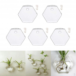 5 Pakkige Creative Plant Vaas Pall Kuusnurkne seinale rippuv lillepott