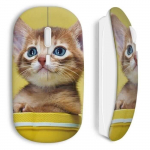 Kollane Kitten juhtmeta hiir