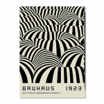 Abstraktne Bauhaus Line l&otilde;uendimaal Must Eye Leopard Kaasaegne p&otilde;hjamaade seinakunst Plakatid ja v&auml;ljatr&uuml;kid elutoa sisekujunduseks 50x70cm No Frame