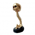 Koljuistutusn&otilde;u selgrooga alusega Realistlik vaigust kolju lillepott Gooti kodukaunistus kuldne