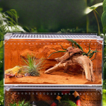 Roomajate terrarium Loomade elupaik Puur, L&auml;bipaistev, Haudumiskarp, Elupaik S&ouml;&ouml;tmiskast jaoks
