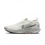 Nike Pegasus Trail 5 Gore Tex Summit White Light Silver College Grey Sequoia Tossud FQ0908-102 44 beež