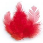 Plumes de coq - GRAINE CR&Eacute;ATIVE - Rouge - Longueur 10 cm - Sachet 3 grammes - Qualit&eacute; artisanale