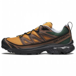 SALOMON Xt 6 75. aastap&auml;eva tossud 417053 36