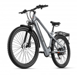 JOOBIKE JOO2 T&auml;iskasvanute Elektrijalgratas 1000W Mootor 48V 16Ah Aku 29&times;2.25 Tolline Rehv Maastikuratas E-jalgratas Linna S&otilde;itmiseks ja V&auml;ljas&otilde;itudeks hall