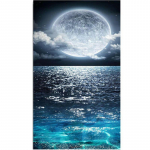 T&auml;ielik 5D-teemantmaal Multifilm Kuu merel Mosaiik Tikand Ristpistes Kodukaunistus K&auml;sitsi valmistatud 25x30cm