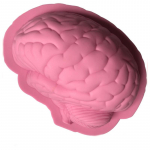 Brain silikoonist koogivorm k&ouml;&ouml;k k&uuml;psetust&ouml;&ouml;riistad loominguline spoof seeria silikoonvorm roosa